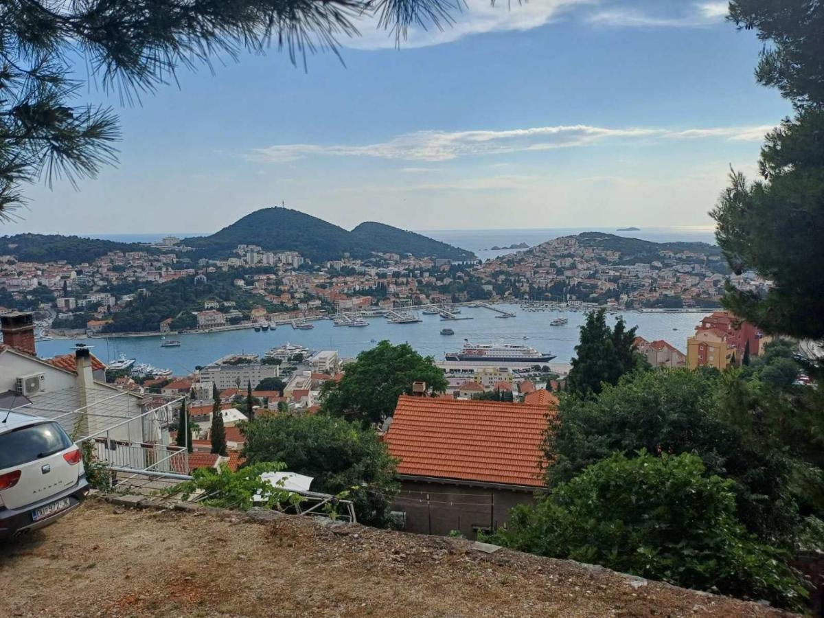 Apartment Sea View From The Hill
