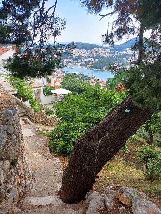 Apartment Sea View From The Hill *